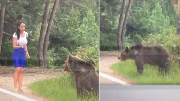 ¡Con un oso! Intenta tomarse una 'selfie' y recibe el susto de su vida