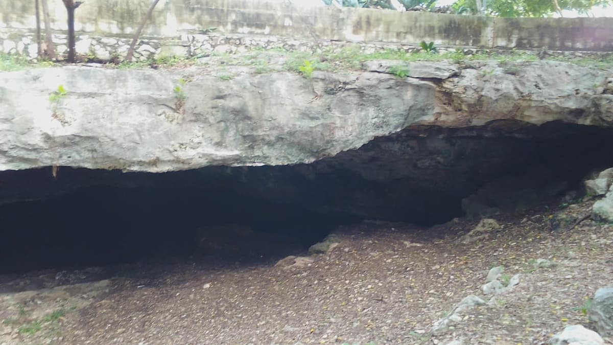 Detectan descargas de drenaje en cenotes urbanos