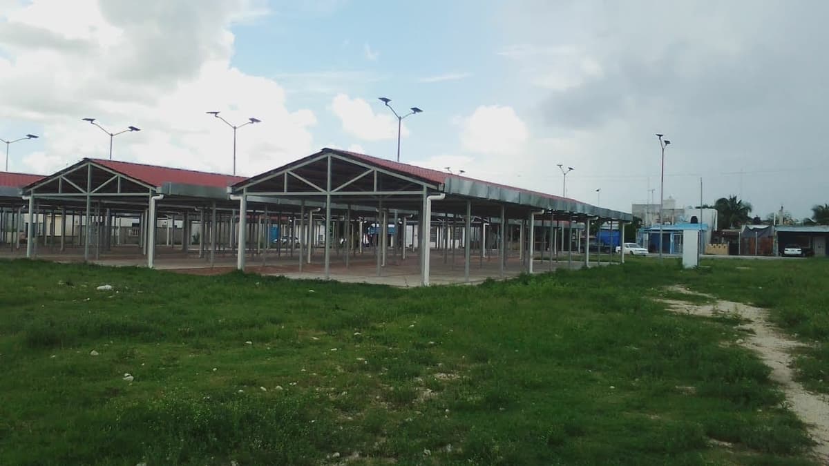 Locales de mercado "San Valentín" se entregarán por antigüedad: Amanda Degyves