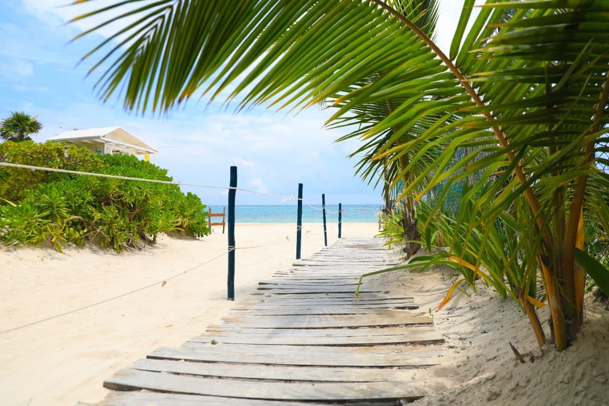 Advierten que Quintana Roo perderá entre 7 y 8 millones de turistas este año