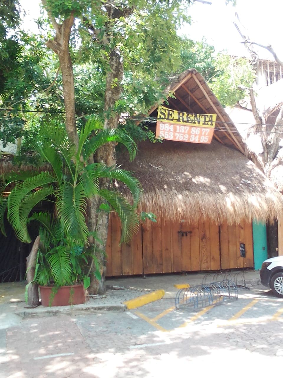 Restauranteros pedirán ampliación de horario para zona turística de Playa del Carmen