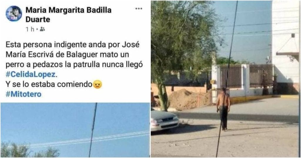 Indigente le prende fuego a un perro callejero y luego se lo come