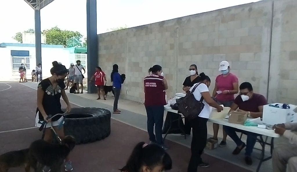 Desmiente Cebiam muerte de canes por vacuna antirrábica