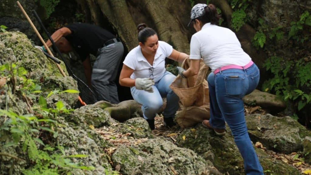 Únete a la limpieza de cenotes, mañana en Playa del Carmen