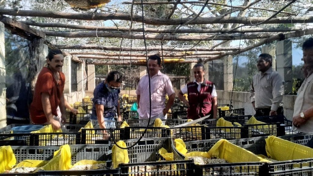 Comisión edilicia de Asuntos Agropecuarios cuantificó los daños al campo solidarense