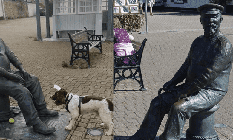 Video: Tierno perrito intenta jugar con una estatua a la pelota y se vuelve viral