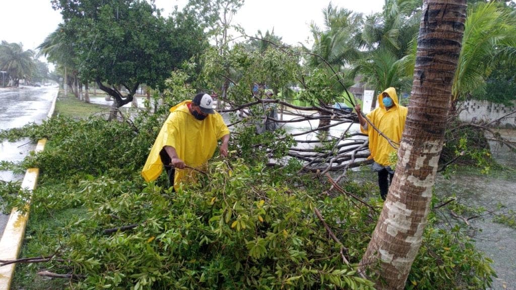 Caída de ramas y árboles, principales afecciones de "Gamma" en Puerto Morelos