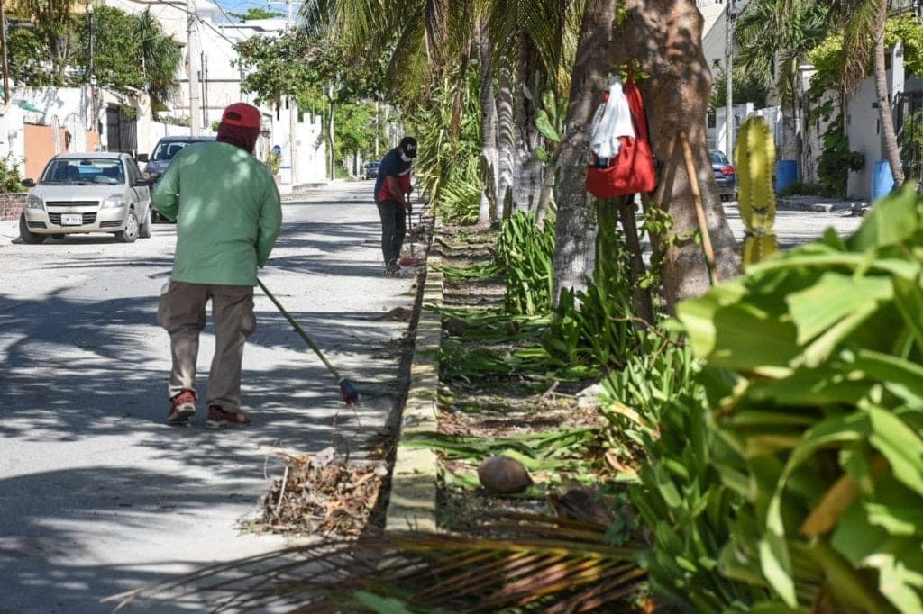 Brigadas municipales rehabilitan avenida principal en Puerto Morelos