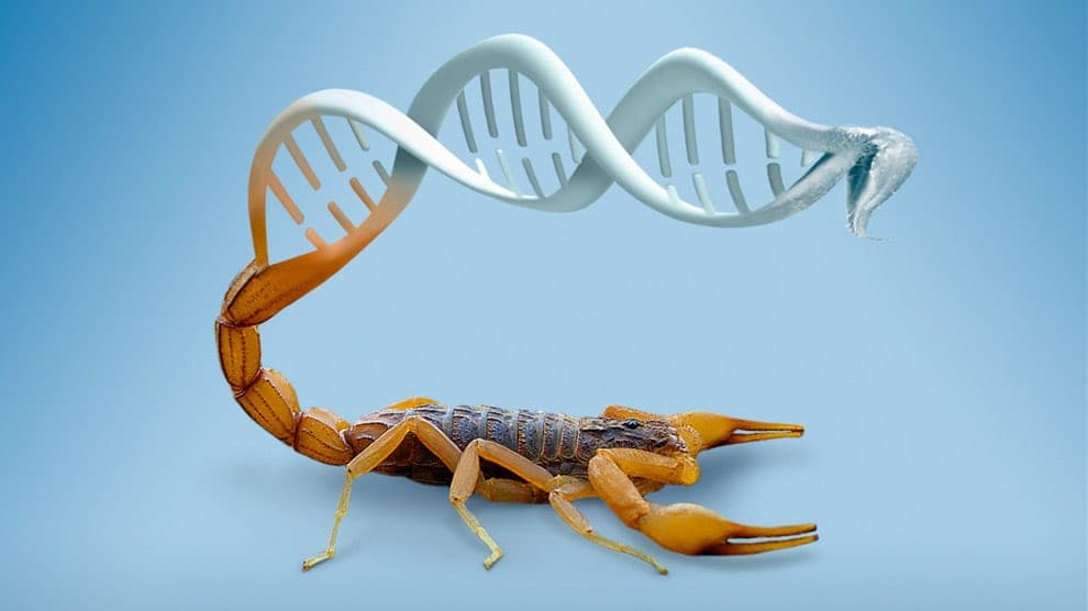 Veneno de escorpión puede ayudar a detener metástasis en 3 tipos de cáncer: UNAM