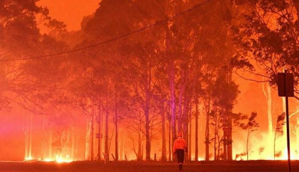 Fuego devora la mitad de la mayor isla de arena del mundo, en Australia