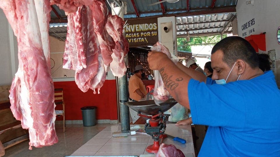 Descarta Cofepris carne de cerdo contaminada en Lázaro Cárdenas