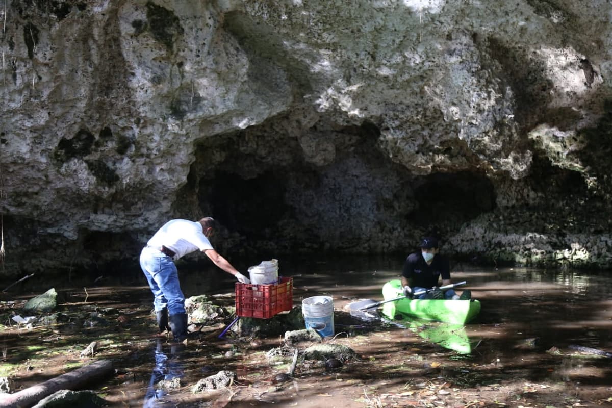 Logra Gobierno de BJ rescate de cenotes con la Sociedad Civil