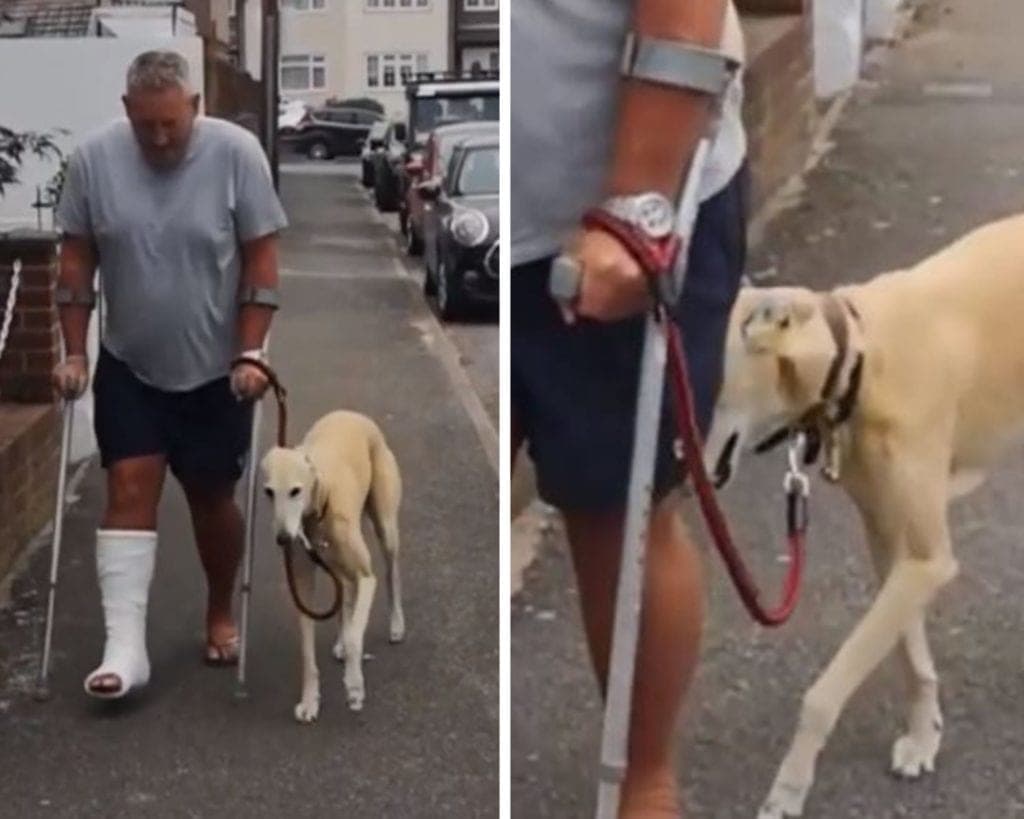 Hombre con lesión gasta más de 7 mil pesos para revisar por que 'cojeaba' su perro, el canino lo imitaba