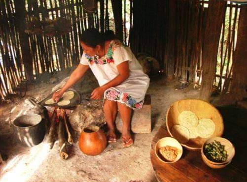 Pide Ieqroo a Morena rectificar candidaturas indígenas