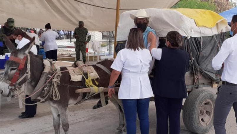 Ancianito llega en burro para recibir vacuna antiCovid-19 y se vuelve viral