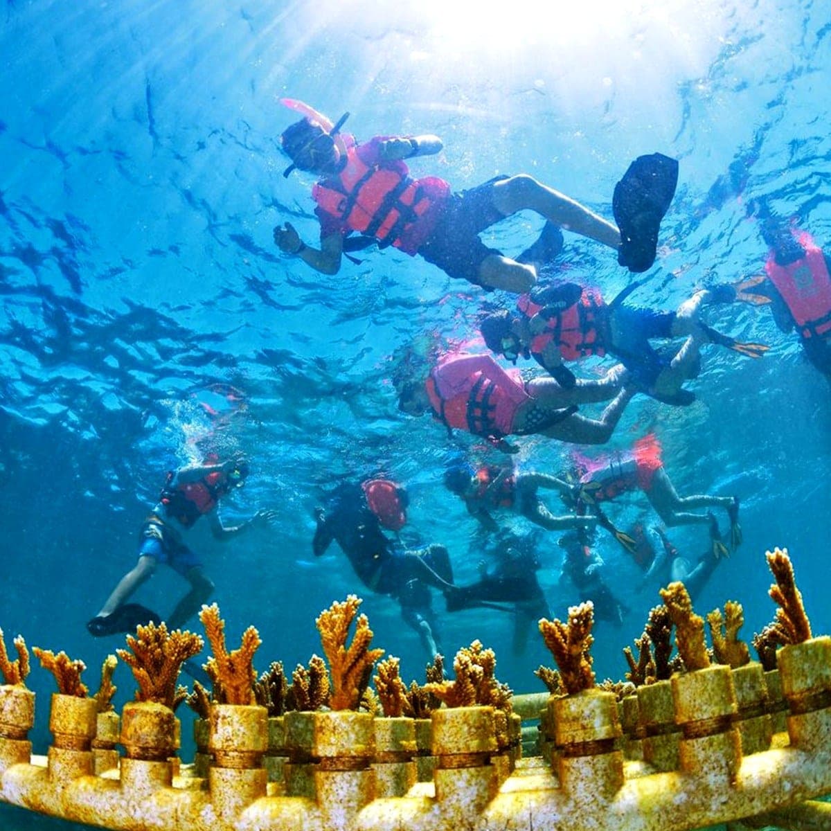 Turismo eco-arqueológico, entre las opciones más recomendables de Cancún en la actualidad