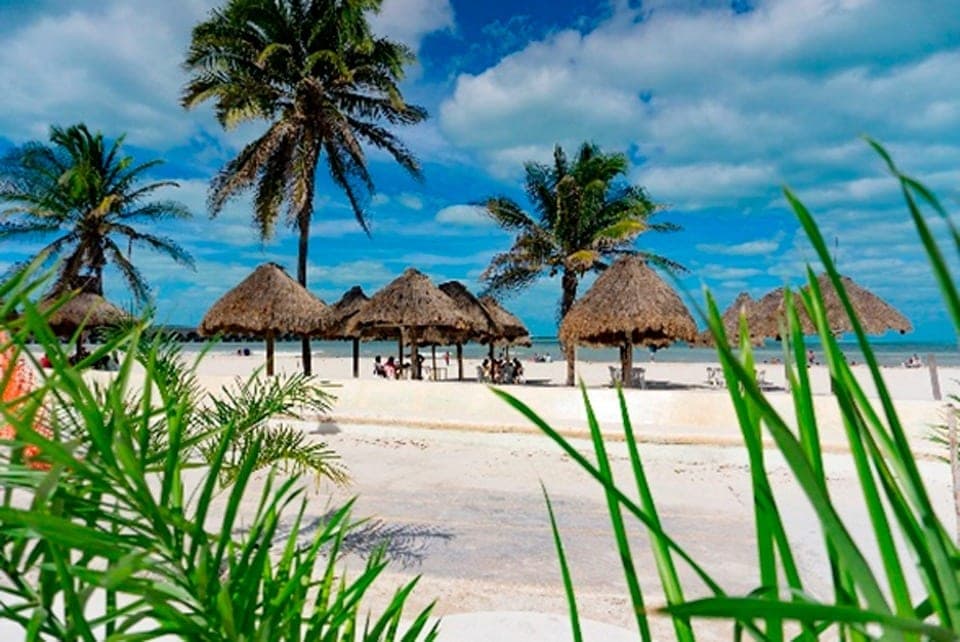 La costa yucateca invita a disfrutar variadas actividades ecoturísticas