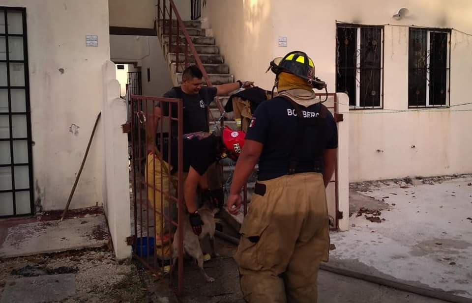 Se incendia casa en de Playa del Carmen, resultado muerto un perro