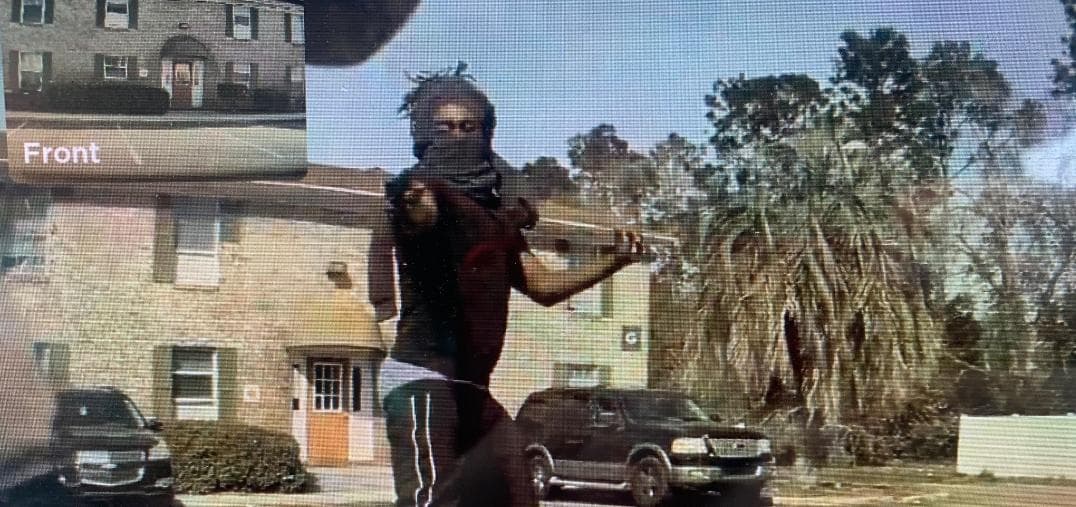 Video: Ladrón no se puede robar un Tesla; dueño le agradece a Elon Musk