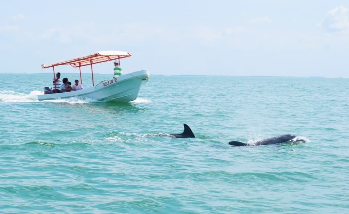Conoce Isla Aguada, nuevo destino ecoturístico en Campeche