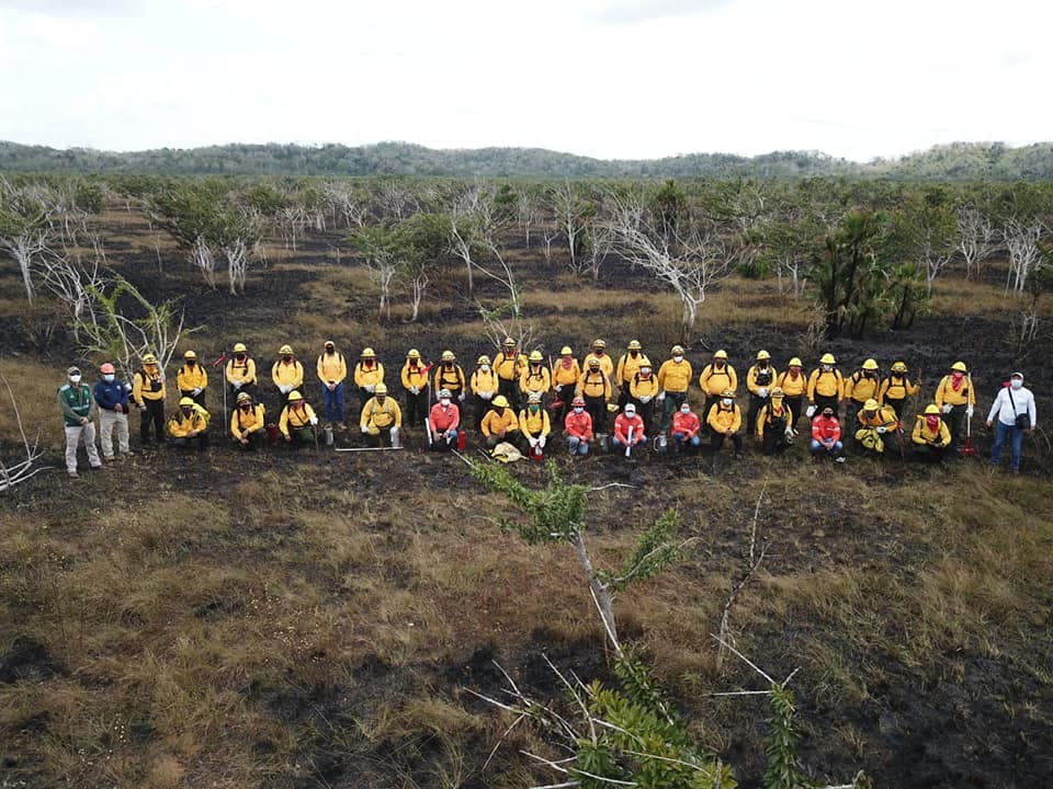 Conafor reporta tres incendios forestales en Quintana Roo