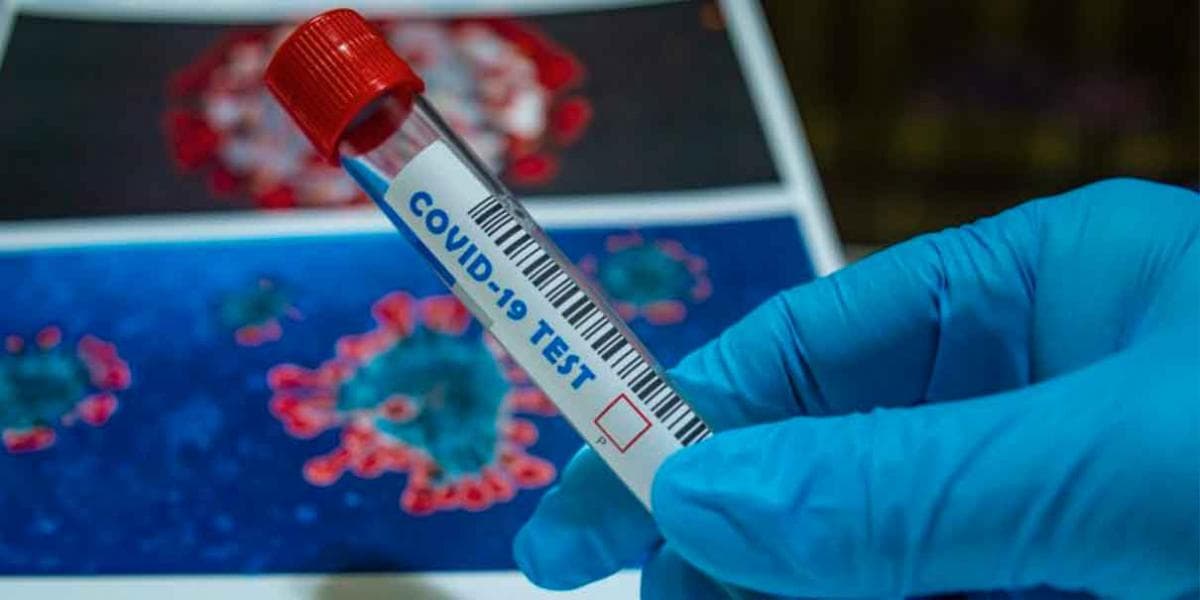 Esto es lo que se sabe sobre la variante B.1.1.222 detectada en México