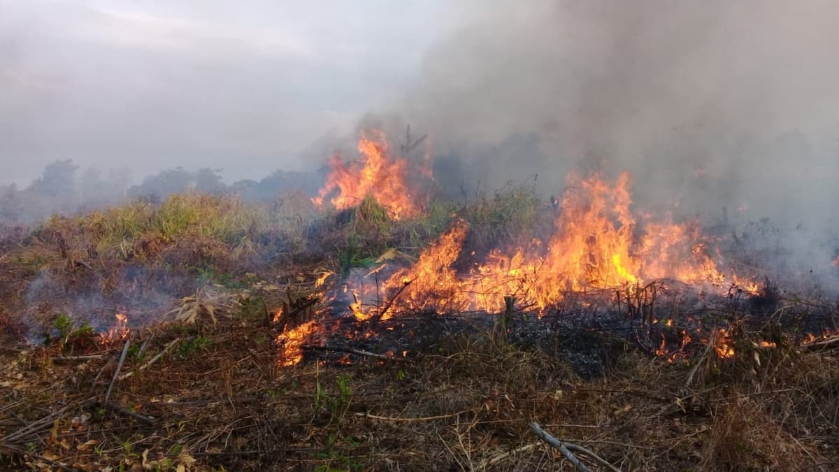 Campesinos cardenenses realizan quemas pese a fuerte estiaje; Protección Civil los conmina a evitarlas