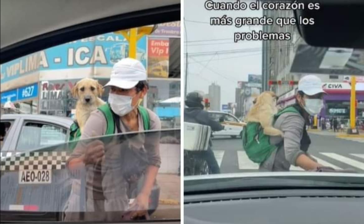 Conmueve joven que trabaja cargando a su perrito en la espalda y se vuelve viral