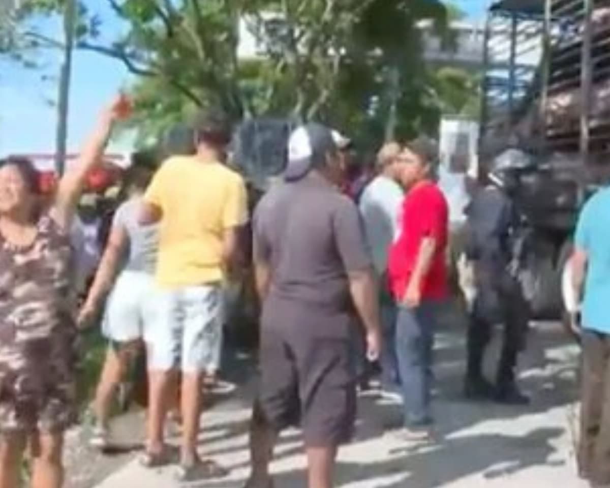 VIDEO: Camión con cerdos se vuelca en Veracruz, pobladores rapiñan y los matan
