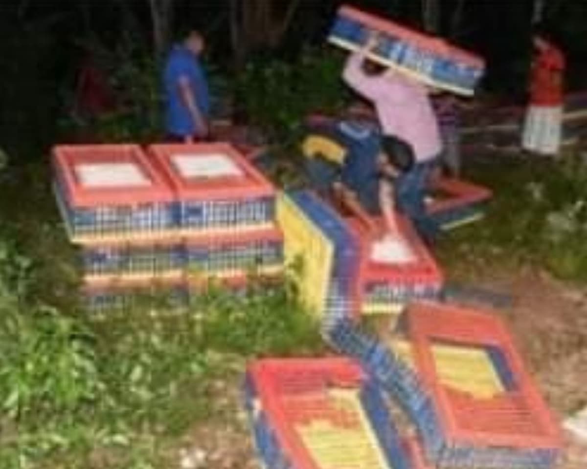 Rapiña de pollos por volcadura de tráiler: los venden en redes sociales