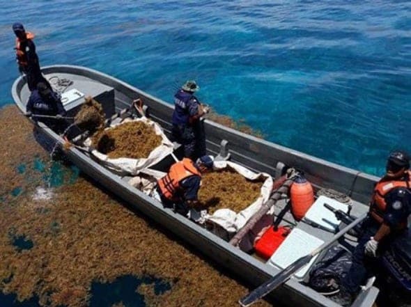 Se hunde embarcación sargacera de la Semar en Playa del Carmen