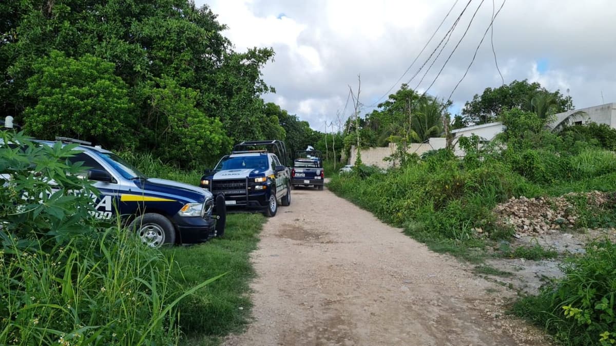 Hallan dos cabezas humanas y otras partes de cadáver en Bonfil