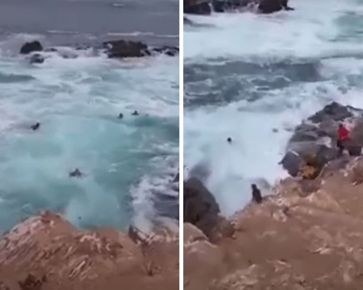 VIDEO: Turistas son arrastrados al mar por una ola en Baja California