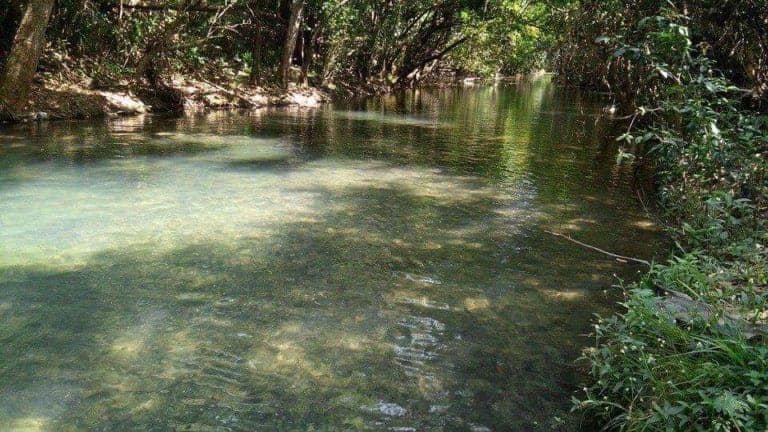 Va Fonatur por el desarrollo turístico de la ribera del Río Hondo