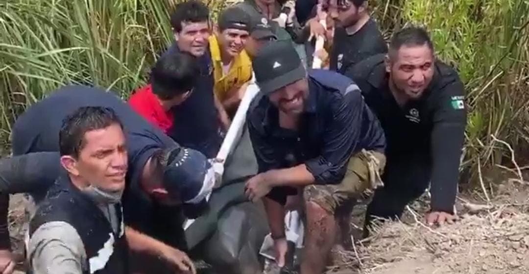 Video: Arturo Islas ayuda en rescate de dos delfines en Sinaloa
