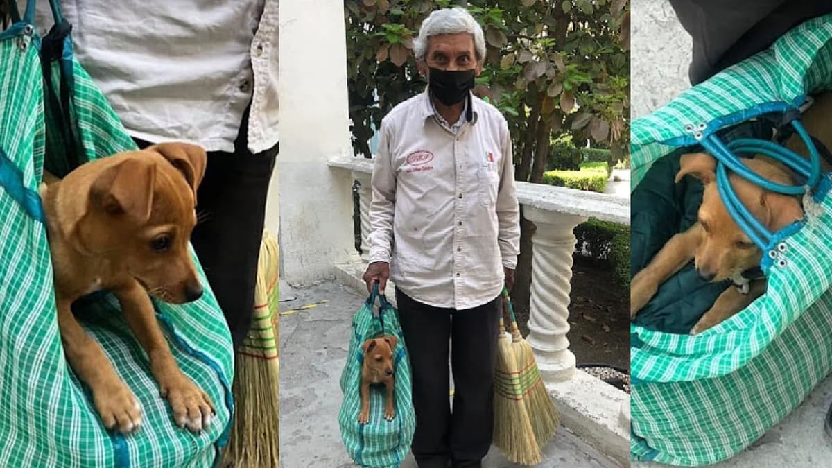 Don Cirilo vende escobas junto a su perrito llamado Chiquito para no dejarlo solo