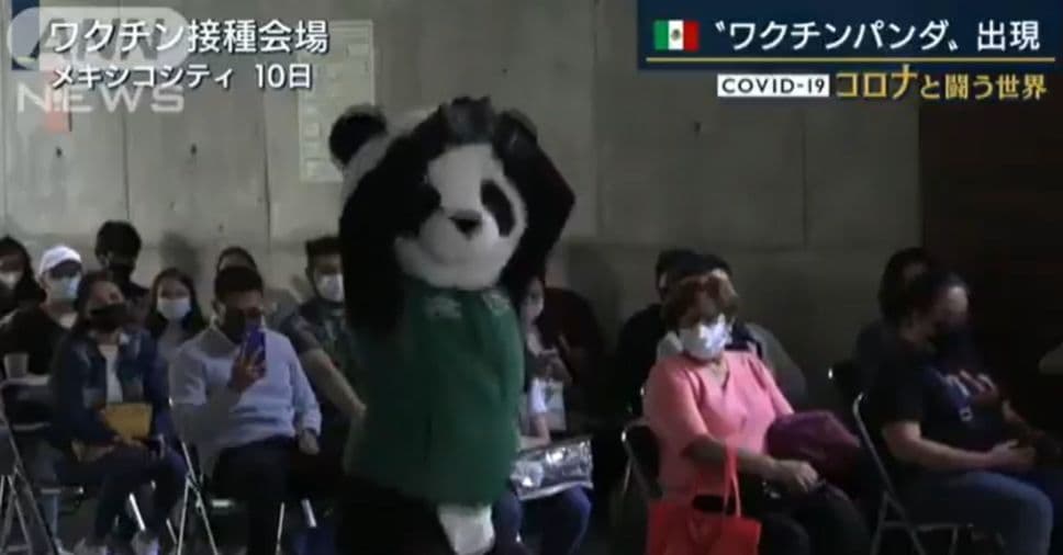 Video: Pandemio se vuelve famoso en Japón y desata ola de memes