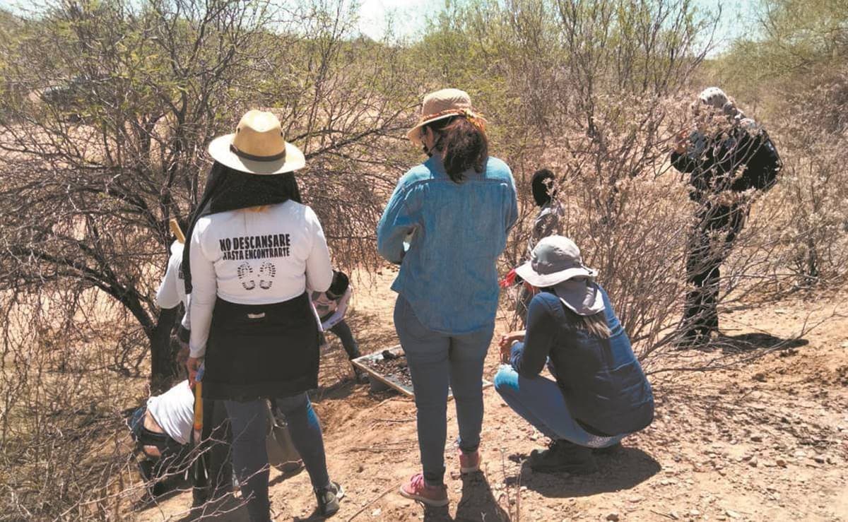 Colectivos de Tamaulipas entrarán a "La Bartolina" a buscar familiares desaparecidos