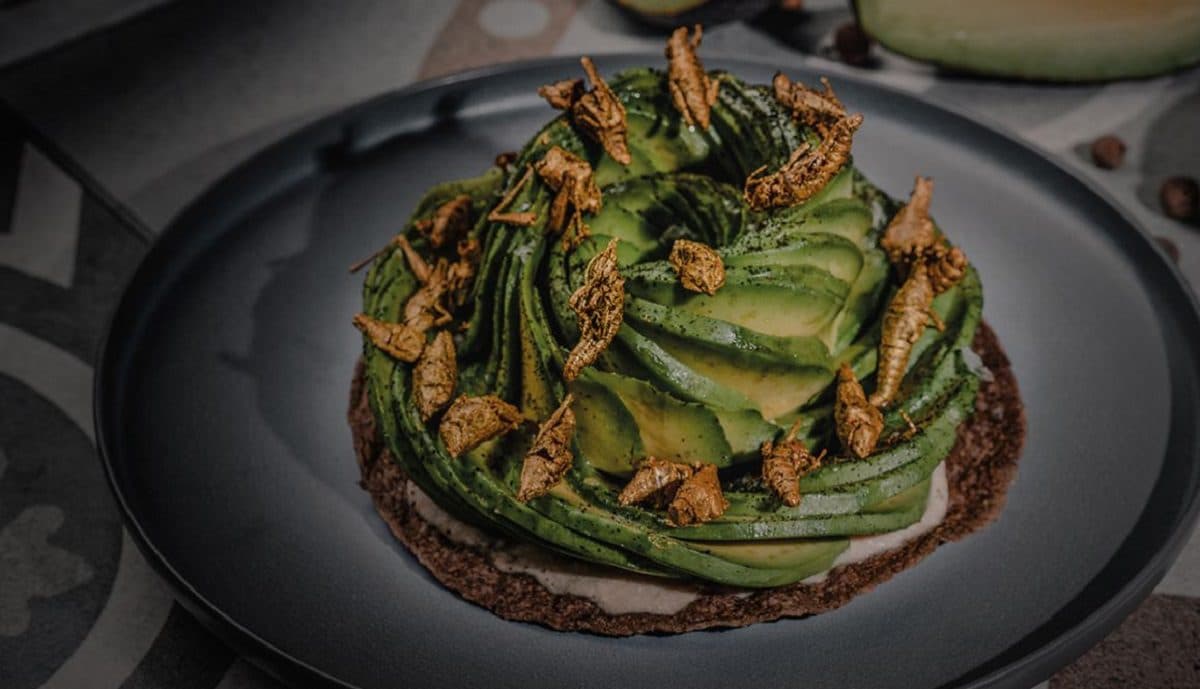 Grupo Anderson's apuesta por Tulum: abrirá restaurantes Macario y Nicoletta