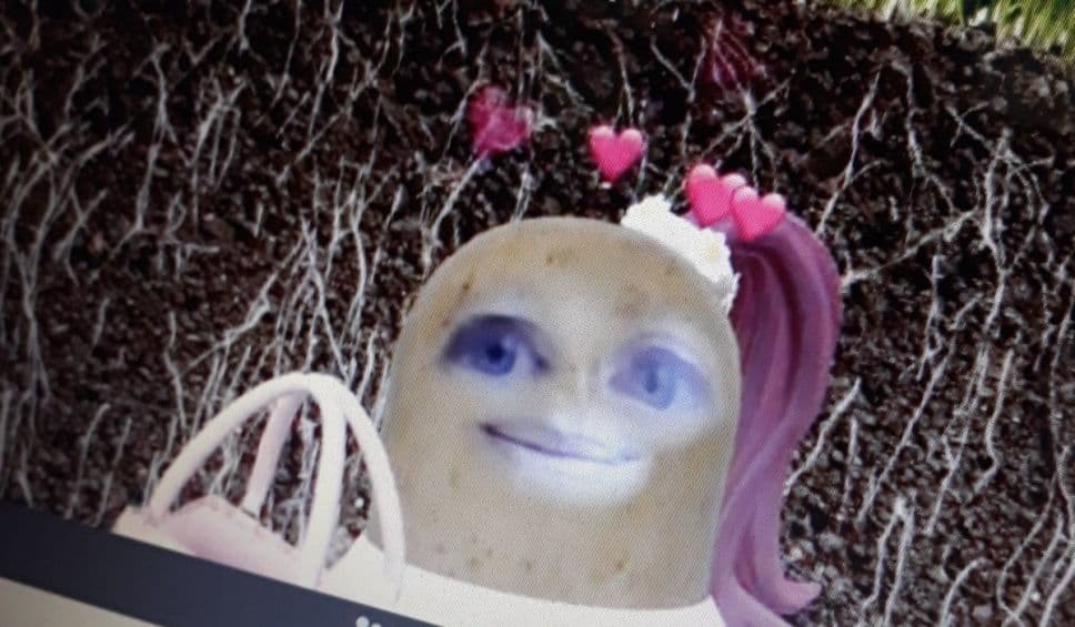 VIRAL: Maestra no puede quitar filtro y da su clase con 'cara de papa'