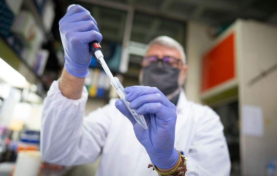 Reporta Quintana Roo 76 nuevos casos de Covid-19 y 4 decesos en 24 horas