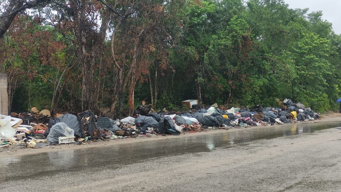 GALERÍA: InHouse genera tiradero clandestino en Playa del Carmen