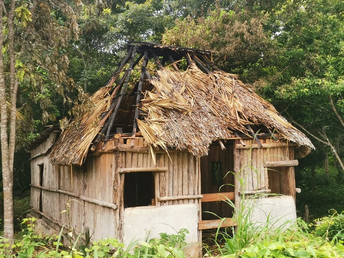 Enloquece pirómano y quema tres palapas en la zona maya de Quintana Roo