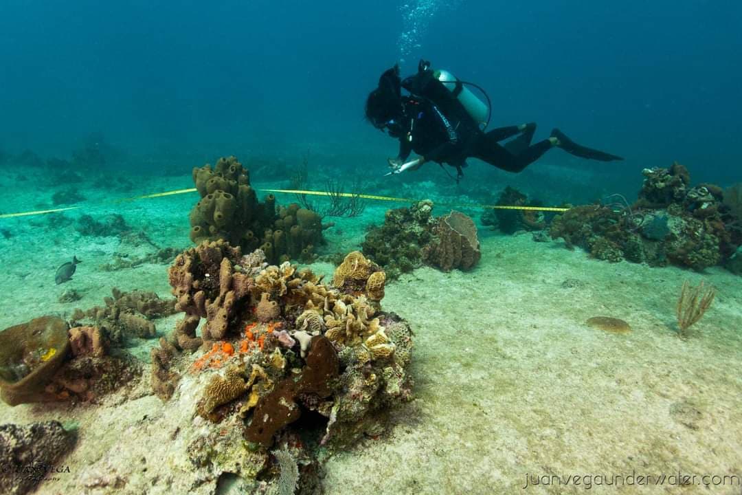 Se manifestarán mañana contra el cuarto muelle de Cozumel