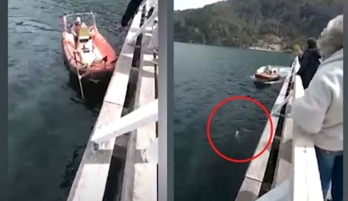 FUERTE VIDEO: Joven se ahoga frente a policías... y lo dejan morir