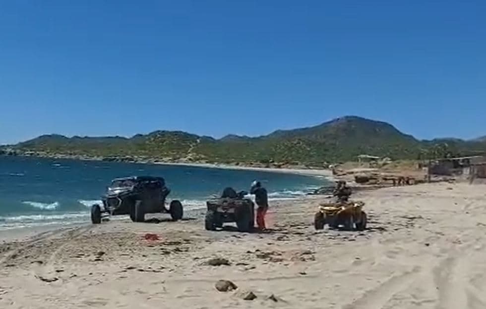 Acusan a jóvenes de atropellar con raicers a tortugas en Sonora