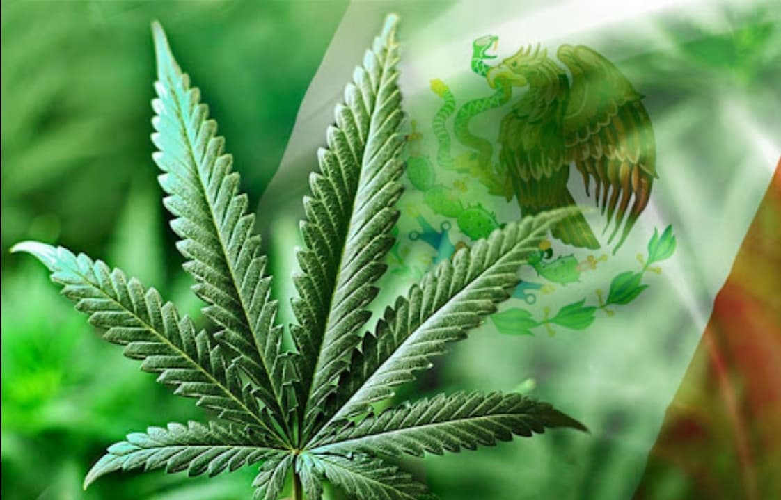 ¿Se puede consumir marihuana sin ser arrestado en México?