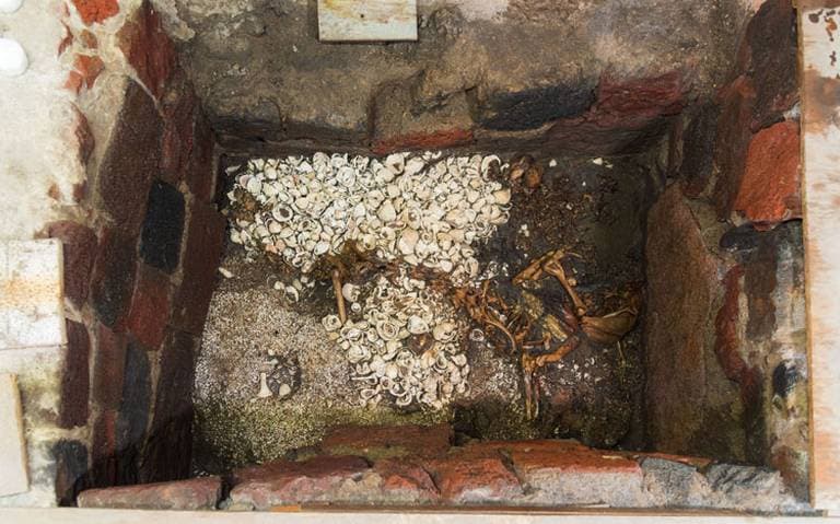 Descubren jaguar enterrado en el Templo Mayor, junto a posible emperador azteca