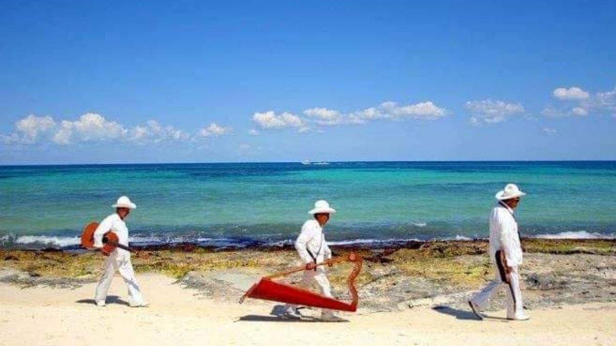 Por la pandemia fallecieron cerca de 20 músicos en Playa del Carmen