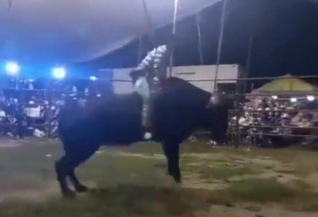 Video: Muere menor tras ser atacado por un toro en un jaripeo